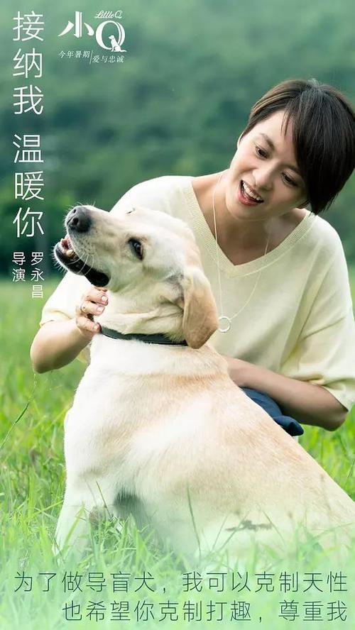 怎么做假克罗伊登学院文凭毕业证
